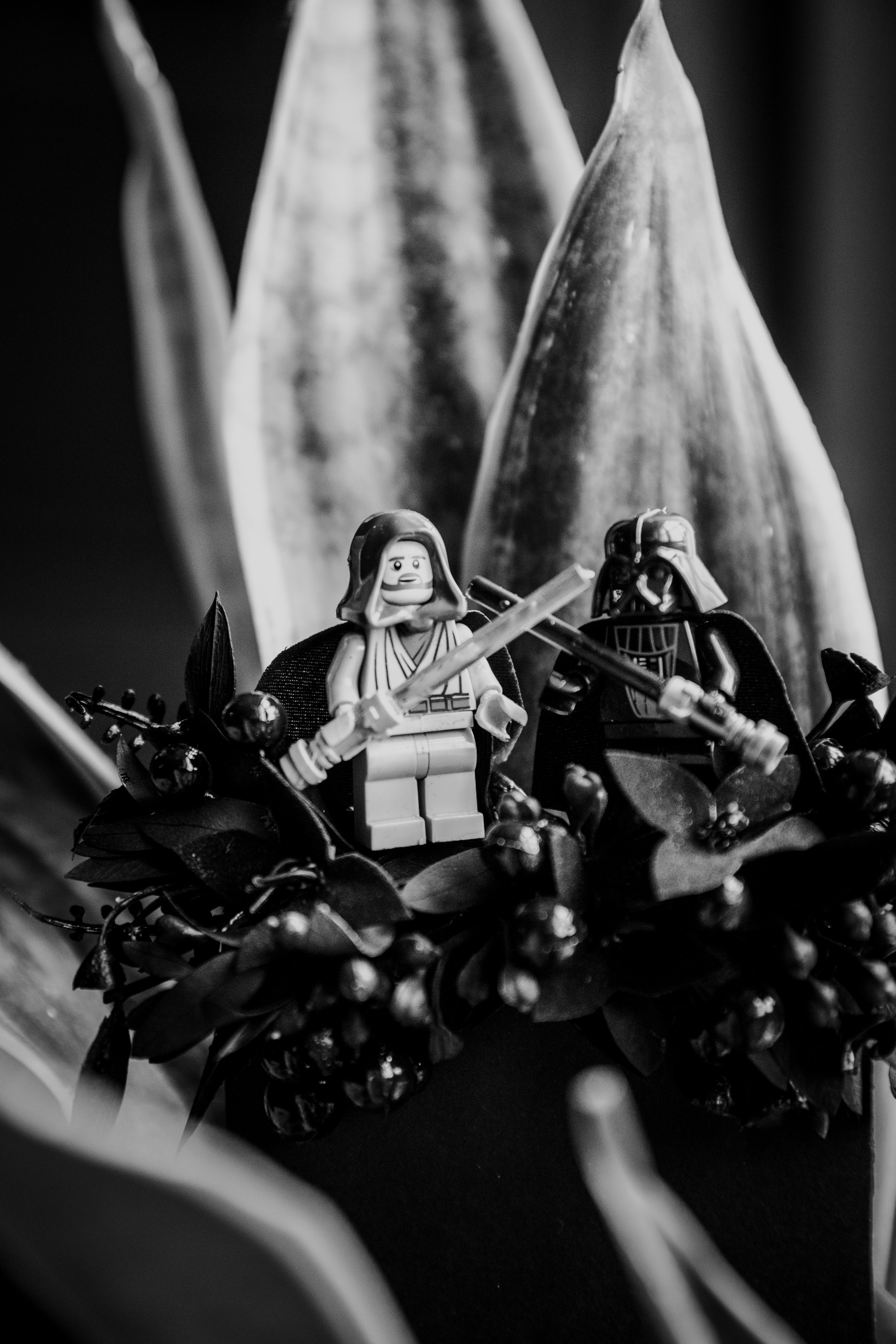 Two LEGO minifigures, a Jedi in white robes and Darth Vader in black armor, pose together among dark flowers and dramatic 